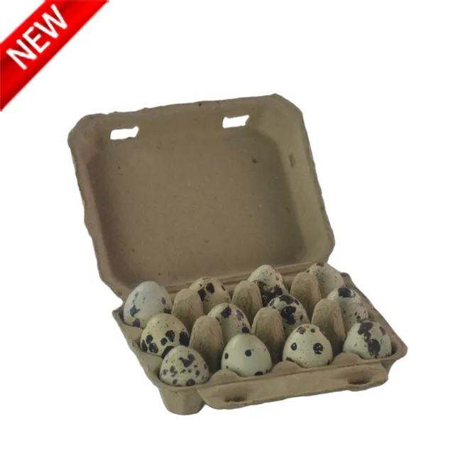 Egg Cartons For Quail Eggs