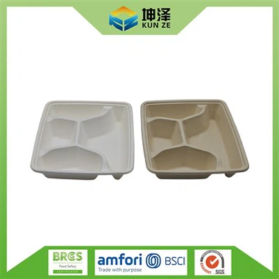 Bagasse Snackbricka