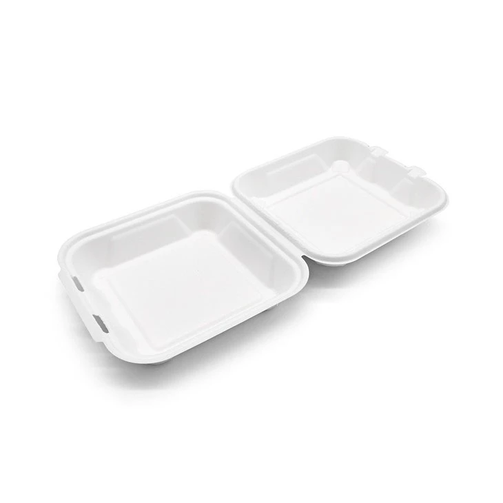 Sugarcane Bagasse Box