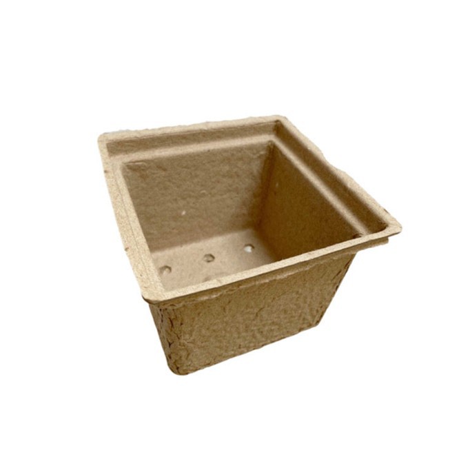 Seedling Containers factory